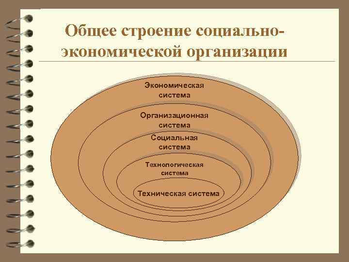 Общее строение социальноэкономической организации Экономическая система Организационная система Социальная система Технологическая система Техническая система