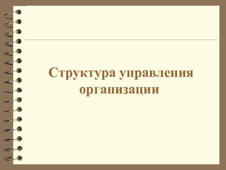  Структура управления организации 