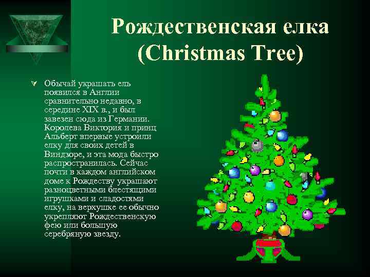 Рождественская елка (Christmas Tree) Ú Обычай украшать ель появился в Англии сравнительно недавно, в
