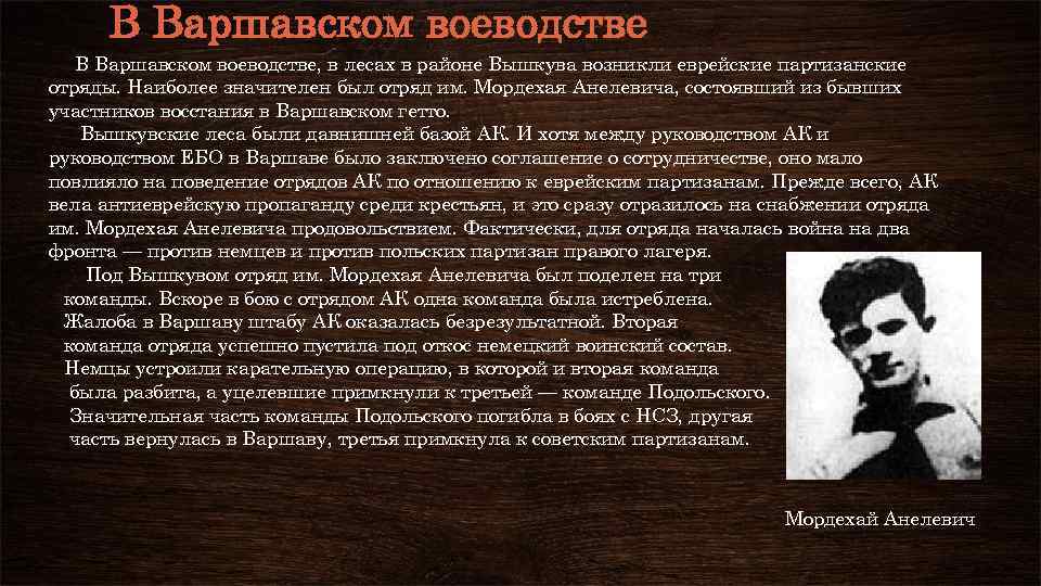 В Варшавском воеводстве, в лесах в районе Вышкува возникли еврейские партизанские отряды. Наиболее значителен