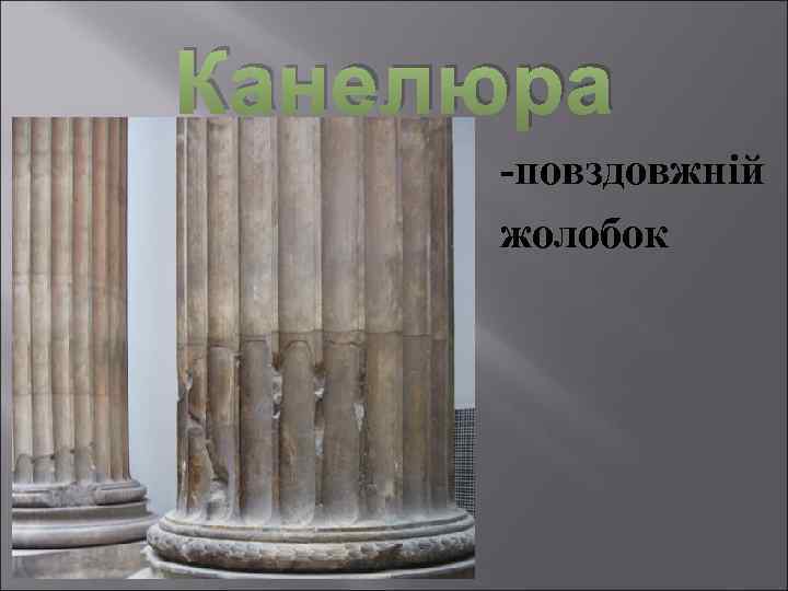 Канелюра -повздовжній жолобок 