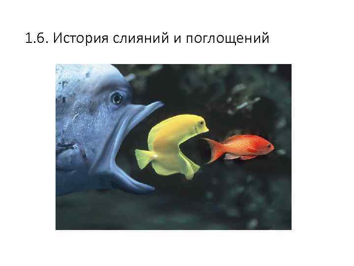 1. 6. История слияний и поглощений 