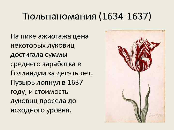 Тюльпаномания (1634 -1637) На пике ажиотажа цена некоторых луковиц достигала суммы среднего заработка в