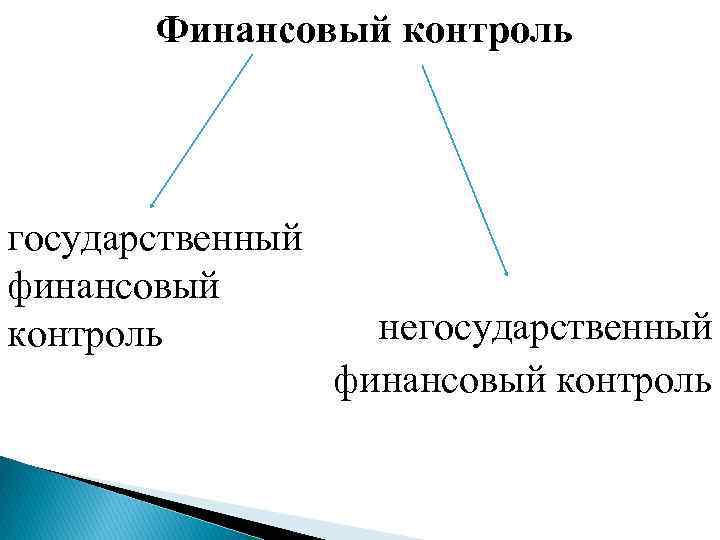 Финансовый контроль государственный финансовый контроль негосударственный финансовый контроль 