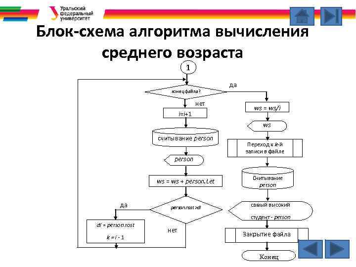 Блок-схема алгоритма вычисления среднего возраста 1 конец файла? нет i=i+1 да ws = ws/i