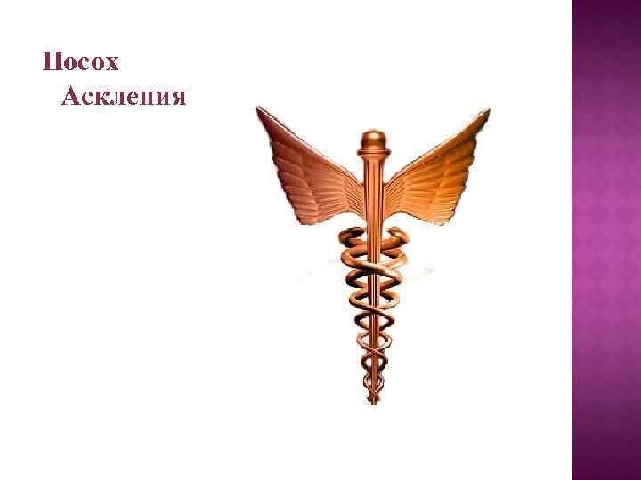 Посох Асклепия 
