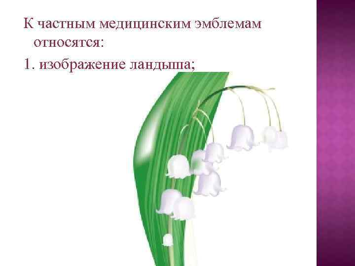К частным медицинским эмблемам относятся: 1. изображение ландыша; 