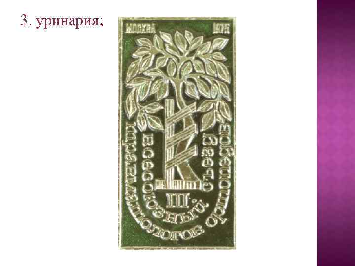 3. уринария; 