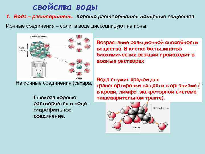 свойства воды 1. Вода – растворитель. Хорошо растворяются полярные вещества Ионные соединения – соли,