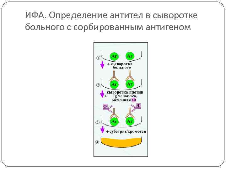 Сыворотка больных