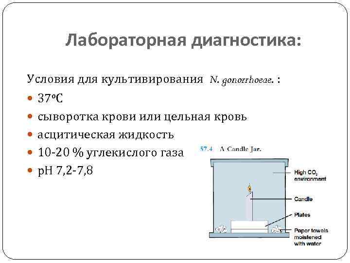 Лабораторная диагностика: Условия для культивирования N. gonorrhoeae. : 37 о. С сыворотка крови или