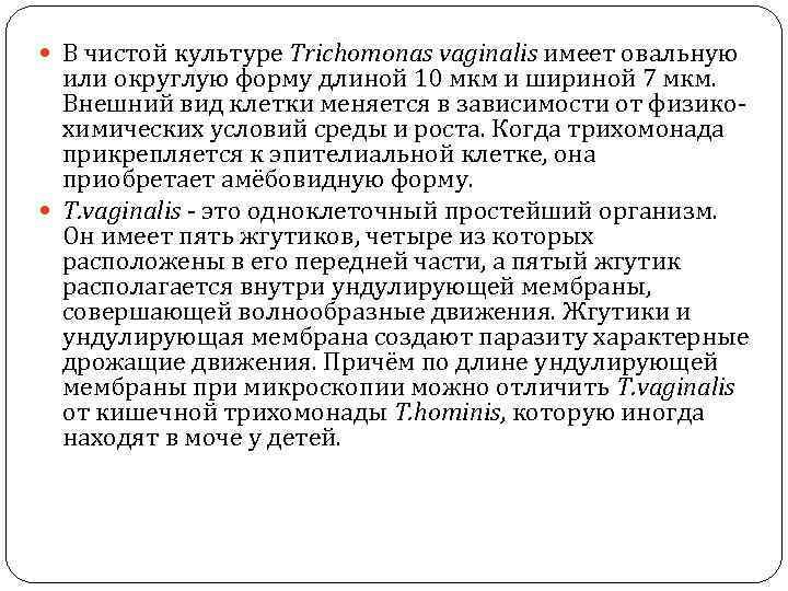  В чистой культуре Trichomonas vaginalis имеет овальную или округлую форму длиной 10 мкм