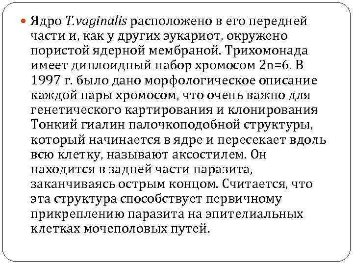  Ядро T. vaginalis расположено в его передней части и, как у других эукариот,