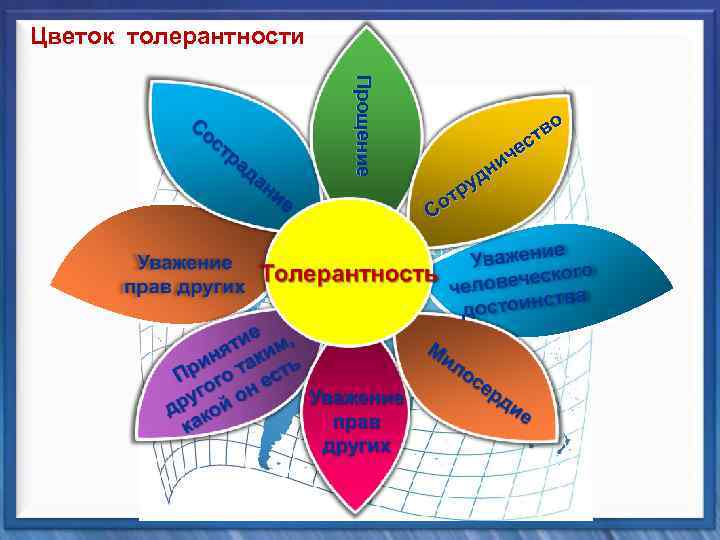 Цветок толерантности Прощение о тв с че и дн у тр Со 