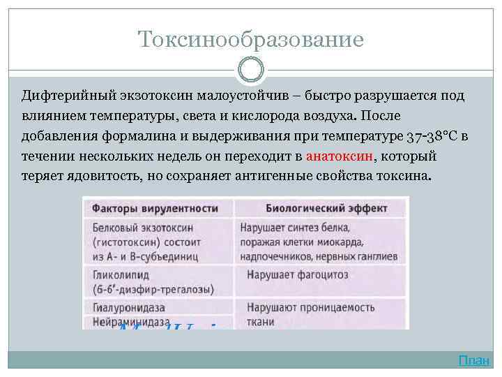 Токсинообразование Дифтерийный экзотоксин малоустойчив – быстро разрушается под влиянием температуры, света и кислорода воздуха.
