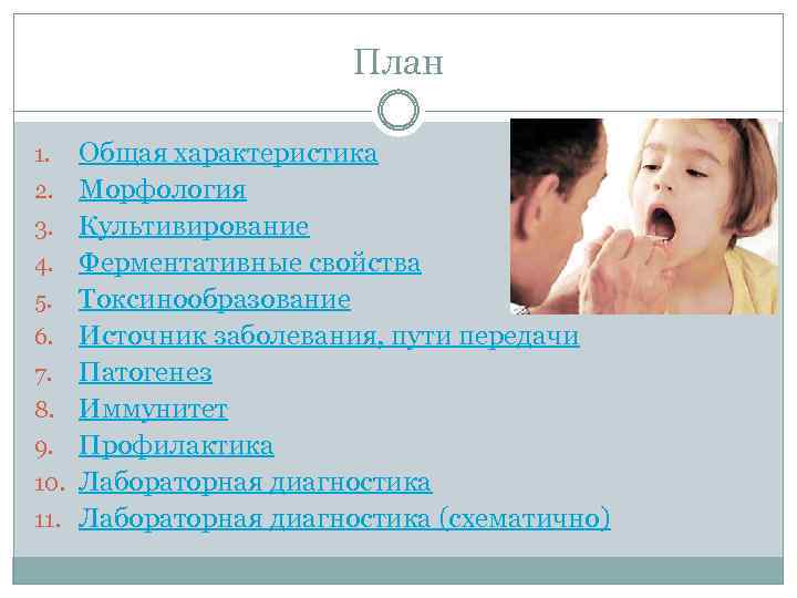План 1. 2. 3. 4. 5. 6. 7. 8. 9. 10. 11. Общая характеристика