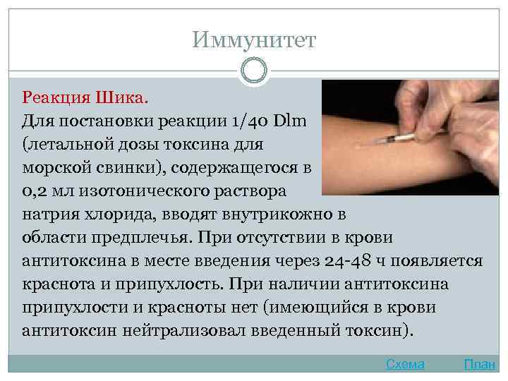 Иммунитет Реакция Шика. Для постановки реакции 1/40 Dlm (летальной дозы токсина для морской свинки),