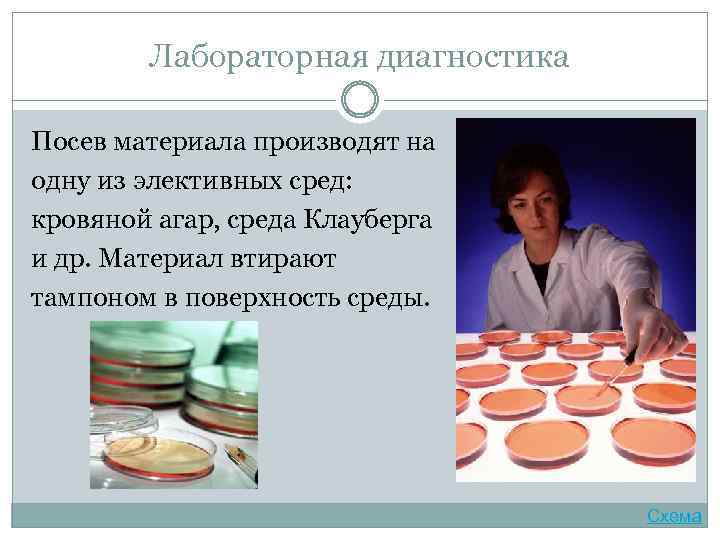 Лабораторная диагностика Посев материала производят на одну из элективных сред: кровяной агар, среда Клауберга