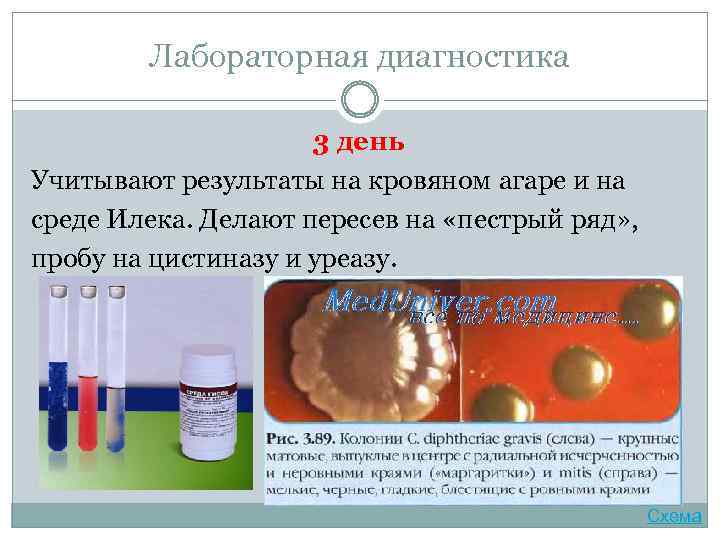 Лабораторная диагностика 3 день Учитывают результаты на кровяном агаре и на среде Илека. Делают