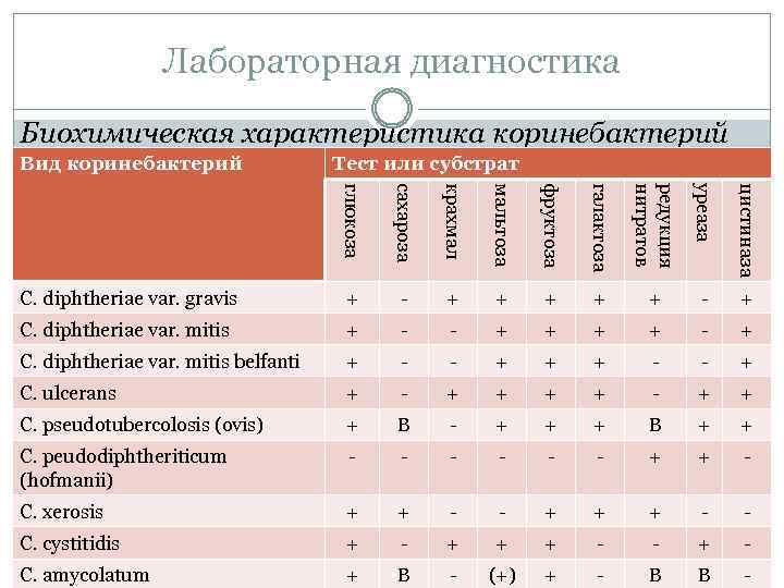 Лабораторная диагностика Биохимическая характеристика коринебактерий Вид коринебактерий Тест или субстрат глюкоза сахароза крахмал мальтоза
