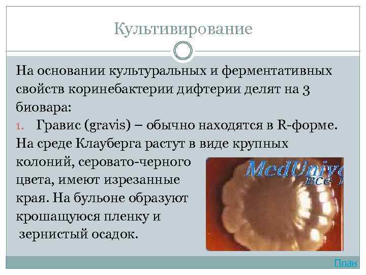 Культивирование На основании культуральных и ферментативных свойств коринебактерии дифтерии делят на 3 биовара: 1.