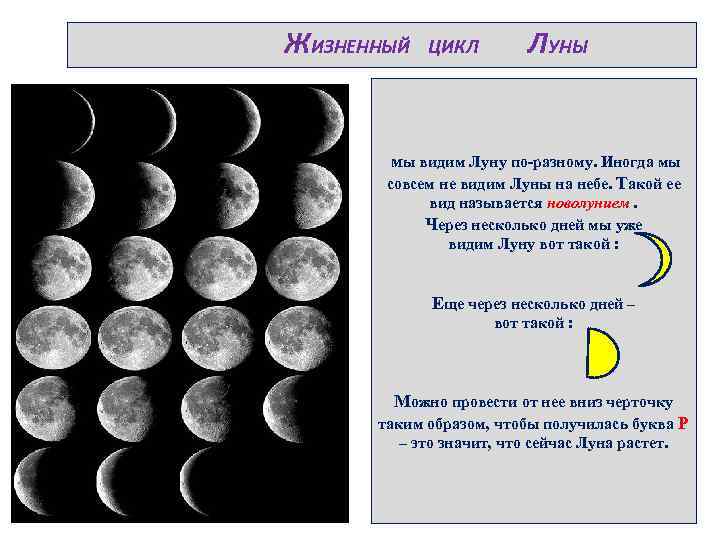 ЖИЗНЕННЫЙ ЦИКЛ ЛУНЫ мы видим Луну по-разному. Иногда мы совсем не видим Луны на