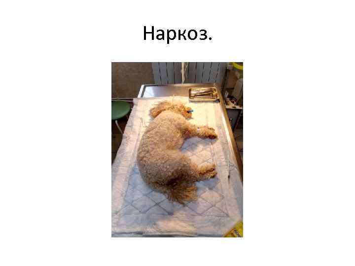 Наркоз. 