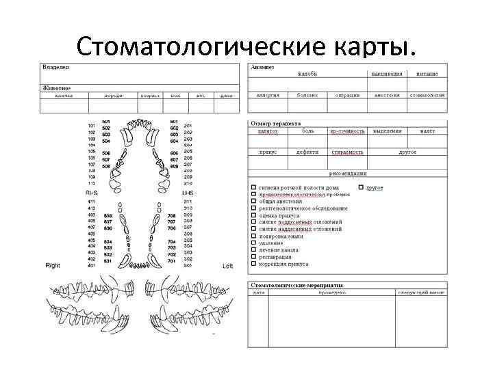 Стоматологические карты. 