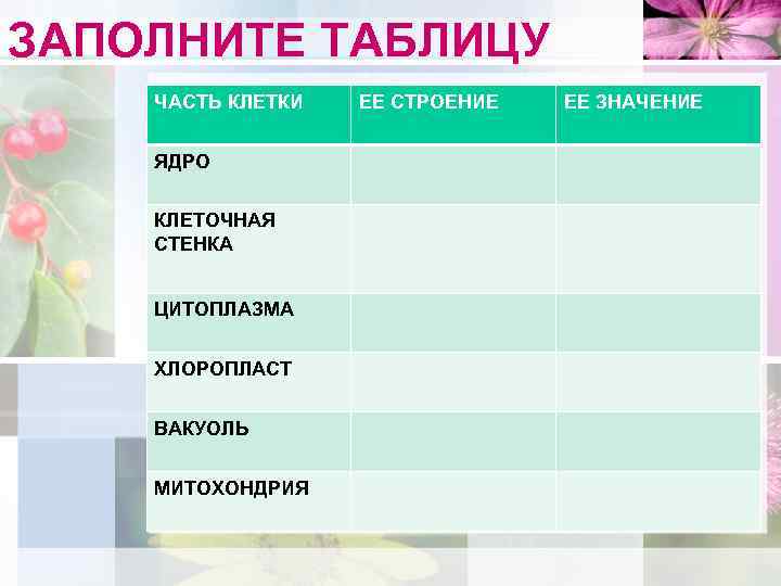 Особенности клеток растений. Таблица о частях клетки биология. Части клетки таблица. Клеточная стенка таблица. Ядро растительной клетки строение и функции таблица.