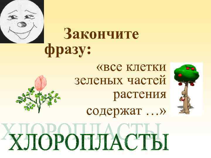 Закончите фразу: «все клетки зеленых частей растения содержат …» 