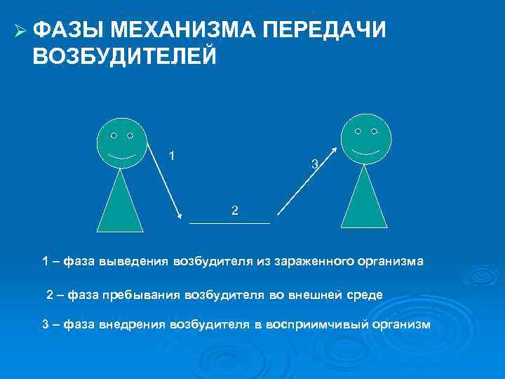 Механизмы заражения. Три фазы механизма передачи инфекции. Фазы механизма передачи возбудителя инфекции схема. Объяснение фазам механизма передачи возбудителя инфекции. Механизм передачи инфекции 3 фазы.