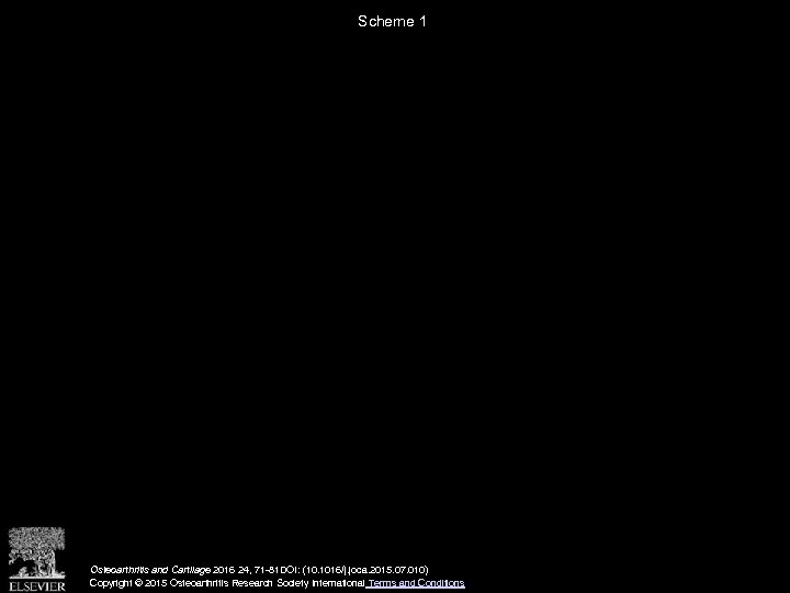 Scheme 1 Osteoarthritis and Cartilage 2016 24, 71 -81 DOI: (10. 1016/j. joca. 2015.