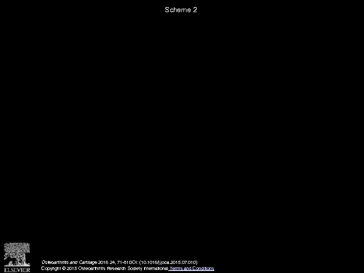 Scheme 2 Osteoarthritis and Cartilage 2016 24, 71 -81 DOI: (10. 1016/j. joca. 2015.