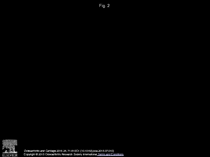 Fig. 2 Osteoarthritis and Cartilage 2016 24, 71 -81 DOI: (10. 1016/j. joca. 2015.