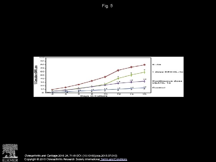 Fig. 5 Osteoarthritis and Cartilage 2016 24, 71 -81 DOI: (10. 1016/j. joca. 2015.