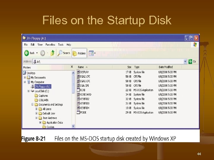 Files on the Startup Disk 44 