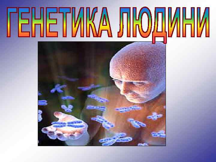 Розділ генетики, що вивчає особливості функціонування геному людини. 
