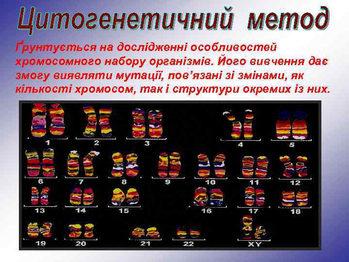 Ґрунтується на дослідженні особливостей хромосомного набору організмів. Його вивчення дає змогу виявляти мутації, пов’язані
