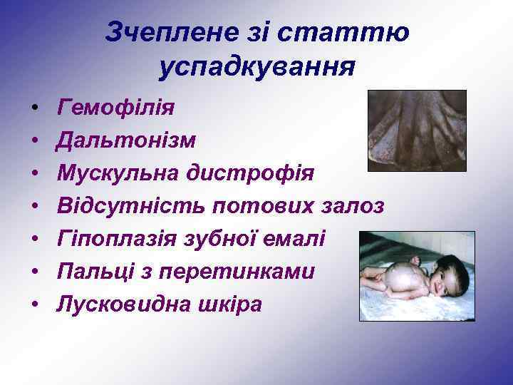 Зчеплене зі статтю успадкування • • Гемофілія Дальтонізм Мускульна дистрофія Відсутність потових залоз Гіпоплазія