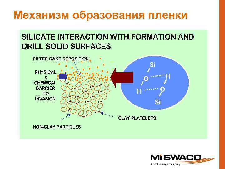 Механизм образования пленки 