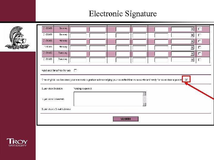 Electronic Signature 
