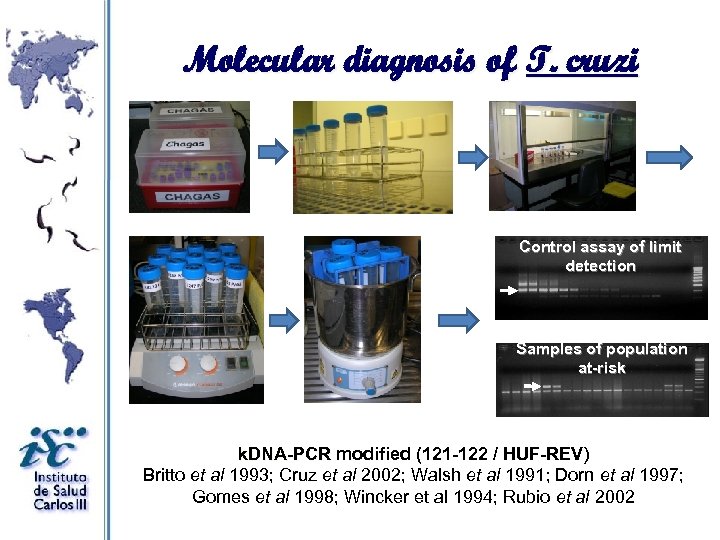 Molecular diagnosis of T. cruzi Control assay of limit detection Samples of population at-risk