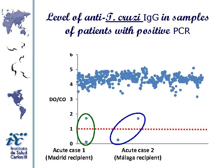 Level of anti-T. cruzi Ig. G in samples of patients with positive PCR Acute