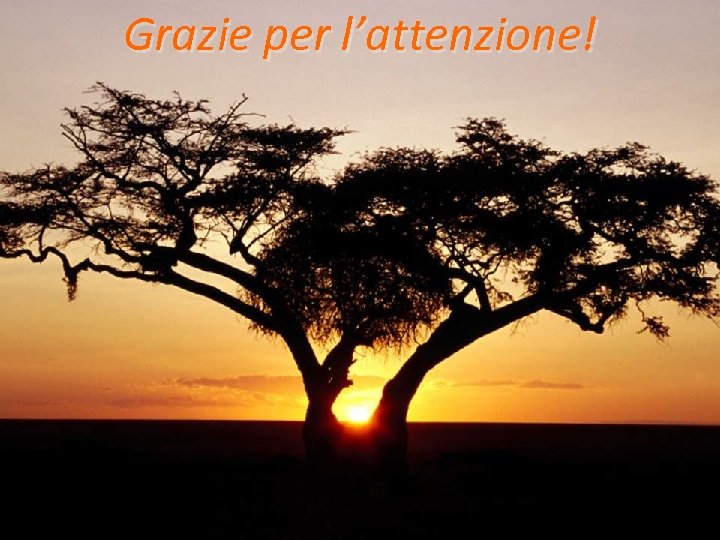 Grazie per l’attenzione! 