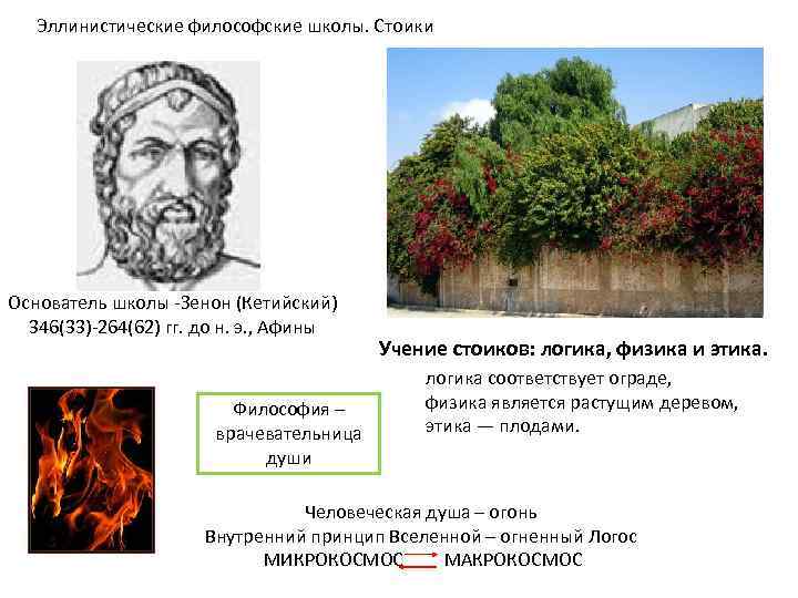 Эллинистические философские школы. Стоики Основатель школы -Зенон (Кетийский) 346(33)-264(62) гг. до н. э. ,
