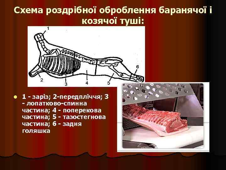 Схема роздрібної оброблення баранячої і козячої туші: l 1 - заріз; 2 -передпліччя; 3