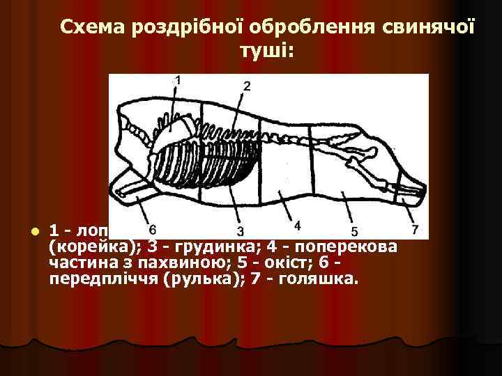 Схема роздрібної оброблення свинячої туші: l 1 - лопаткова частина; 2 - спинна частина