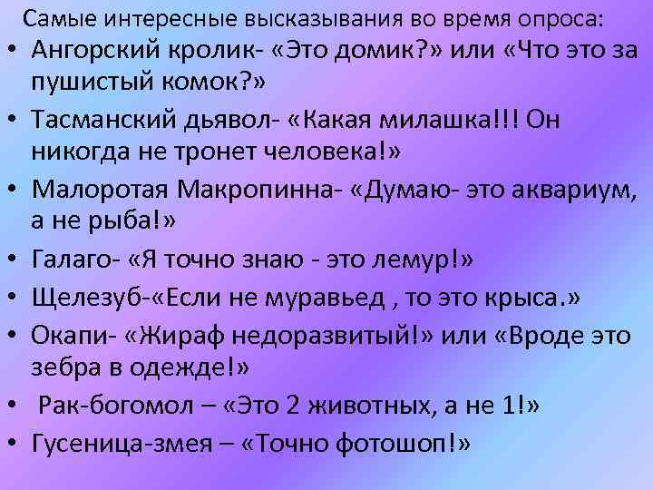 Самые интересные высказывания во время опроса: • Ангорский кролик- «Это домик? » или «Что