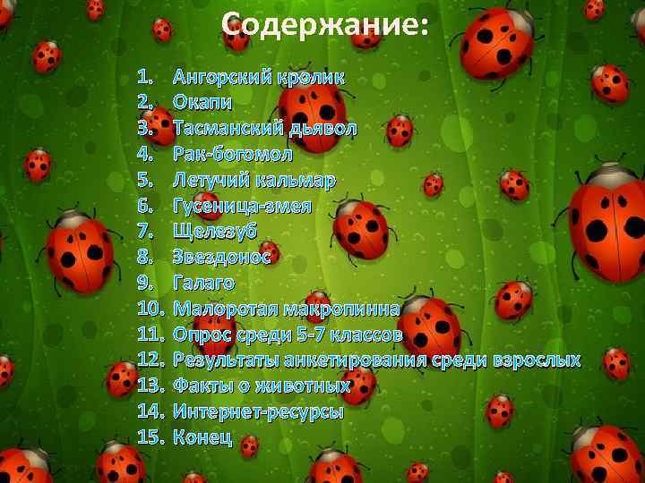 Содержание: 1. 2. 3. 4. 5. 6. 7. 8. 9. 10. 11. 12. 13.