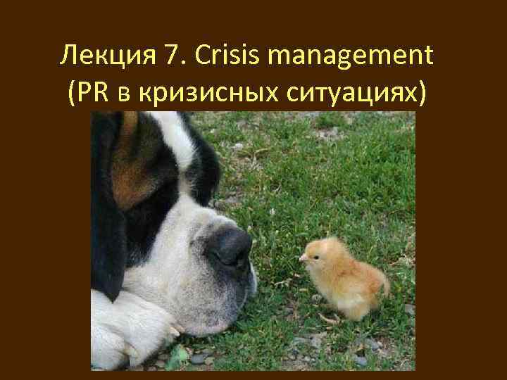 Лекция 7. Crisis management (PR в кризисных ситуациях) 